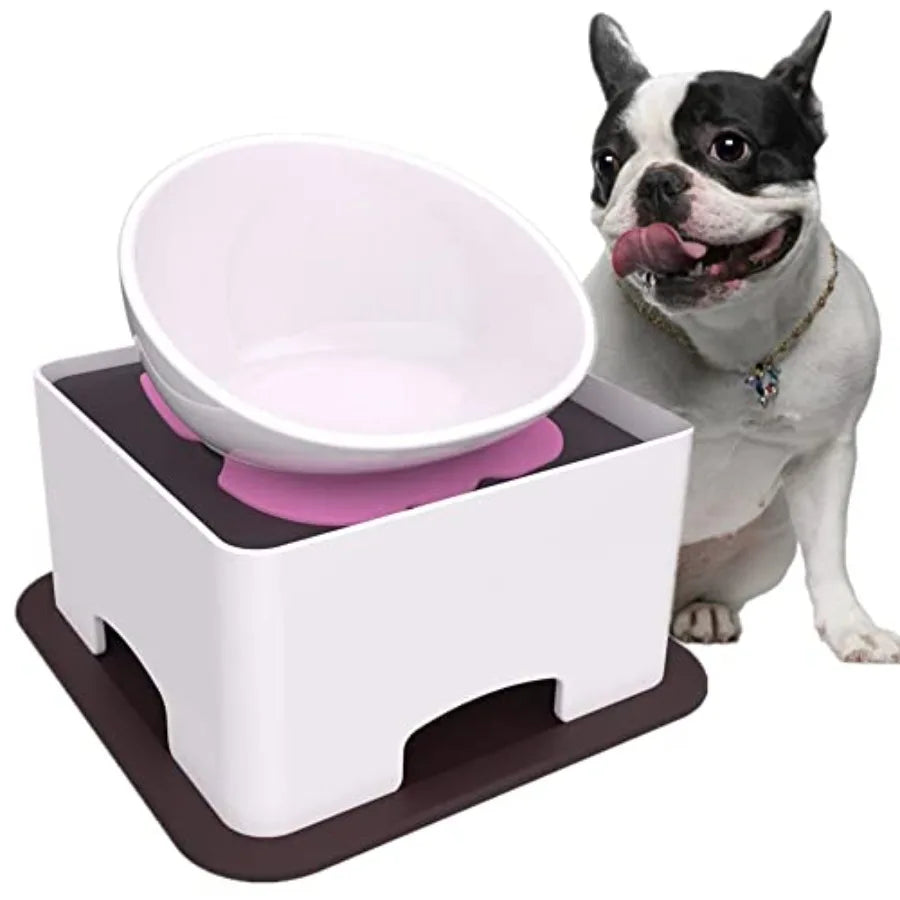 Ceramic Bulldog Dog Feeding - Tilted Pet Feeder