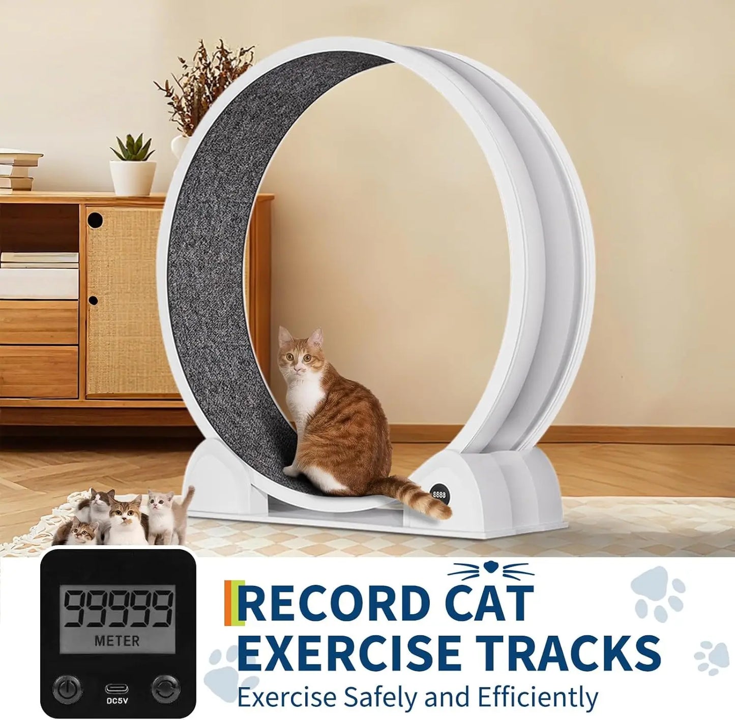 Cat Exercise Wheel, Treadmill with Pedometer