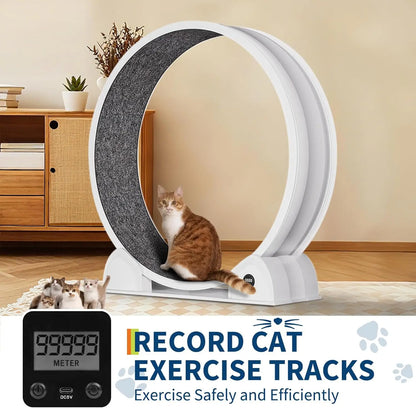 Cat Exercise Wheel, Treadmill with Pedometer