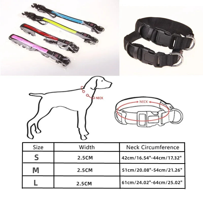 LED Glowing Dog Collar Adjustable Flashing USB Charging