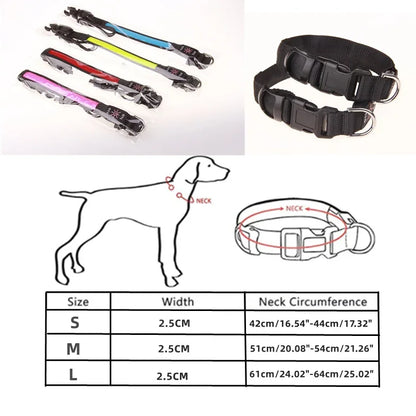 LED Glowing Dog Collar Adjustable Flashing USB Charging
