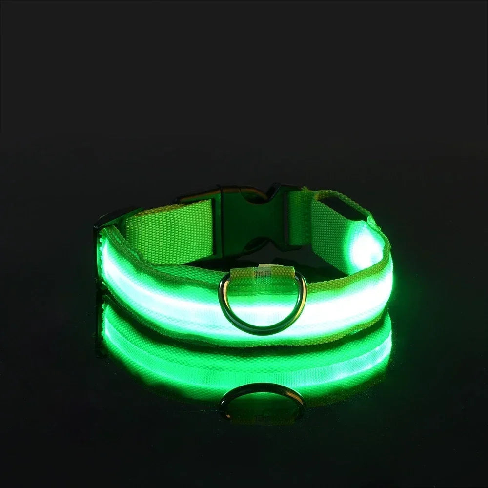 Collar Nylon LED Night Safety Flashing Glow In The Dark