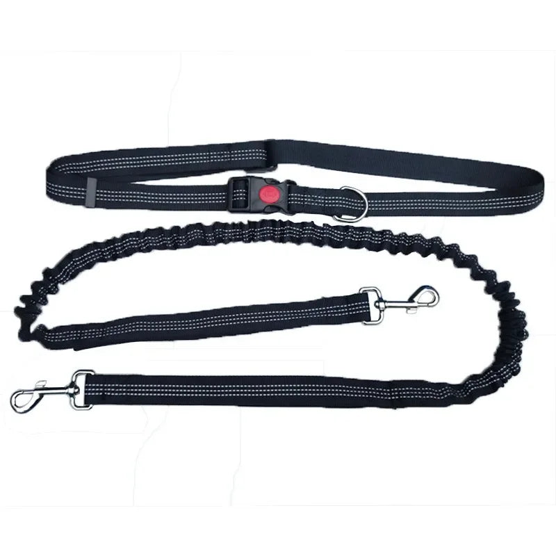 Hand Free Dog Leash for Pet Walking Running