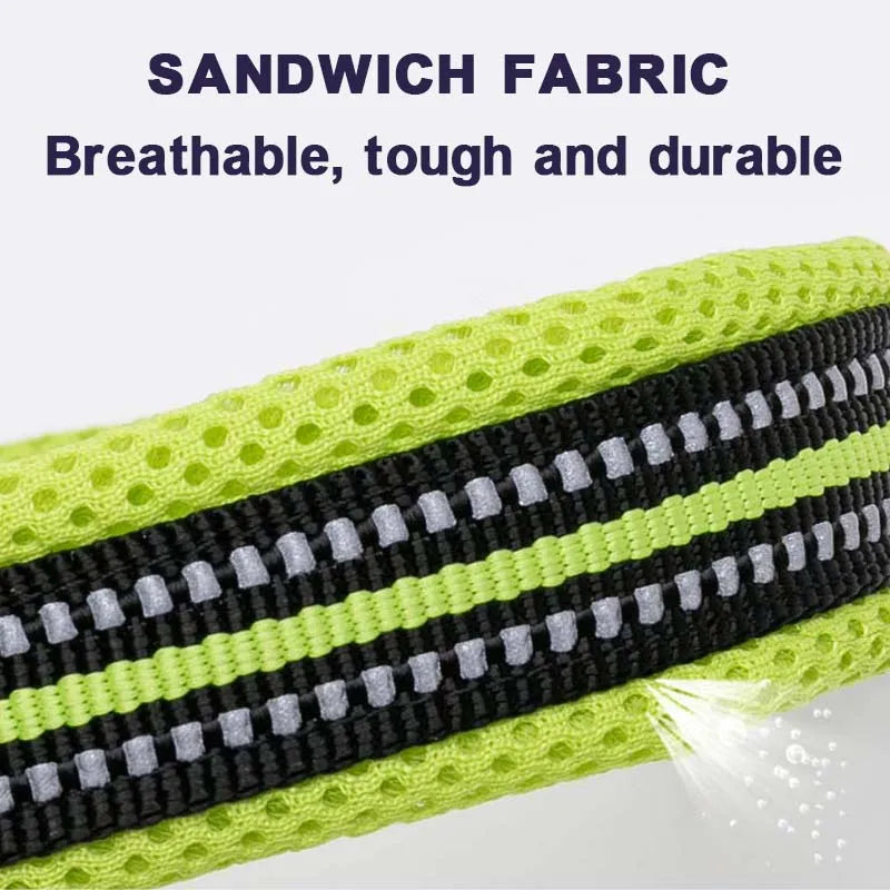 Dog Walking Collar Comfort Padded with Buckle