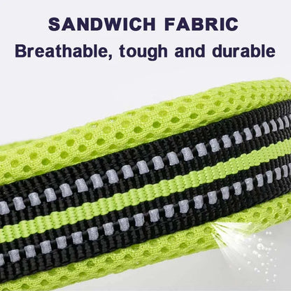 Dog Walking Collar Comfort Padded with Buckle