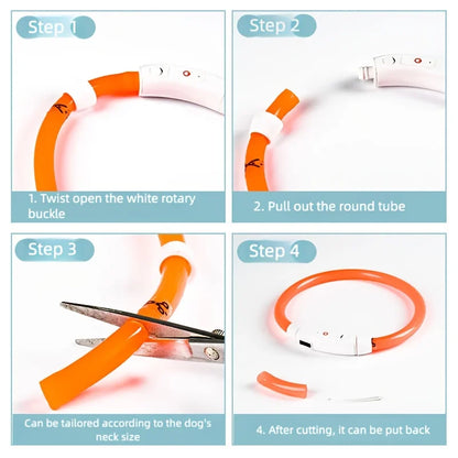 LED Dog Collar USB Rechargeable