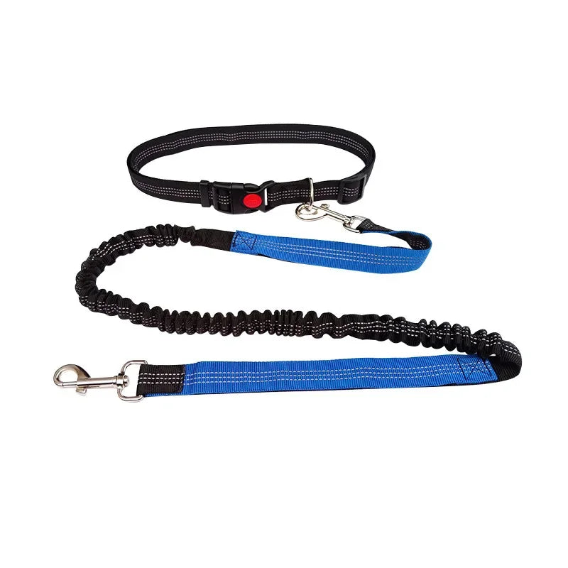 Hand Free Dog Leash for Pet Walking Running