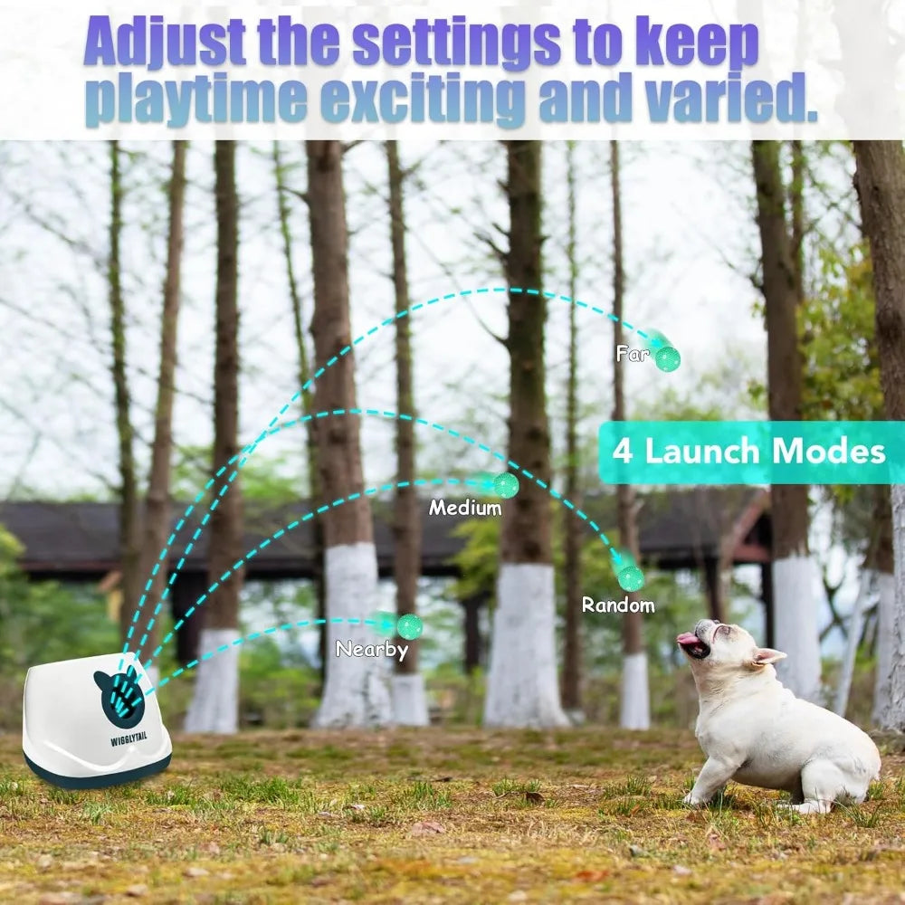 Automatic Ball Launcher for Dogs