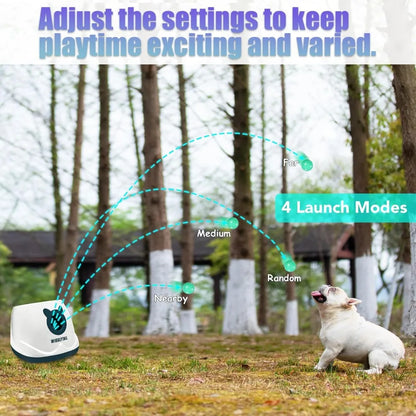 Automatic Ball Launcher for Dogs