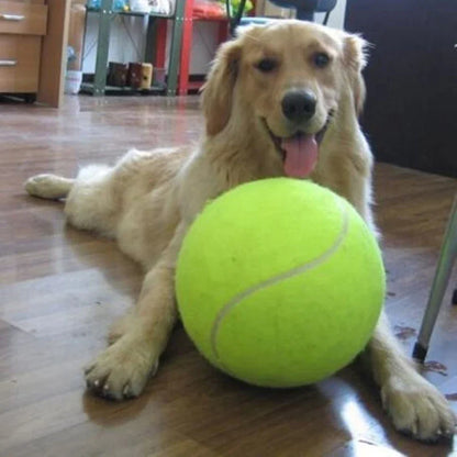 9.5' Giant Tennis Ball For Dog Interactive Toys
