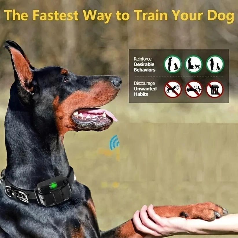 Electric Dog Training Collar Rechargeable