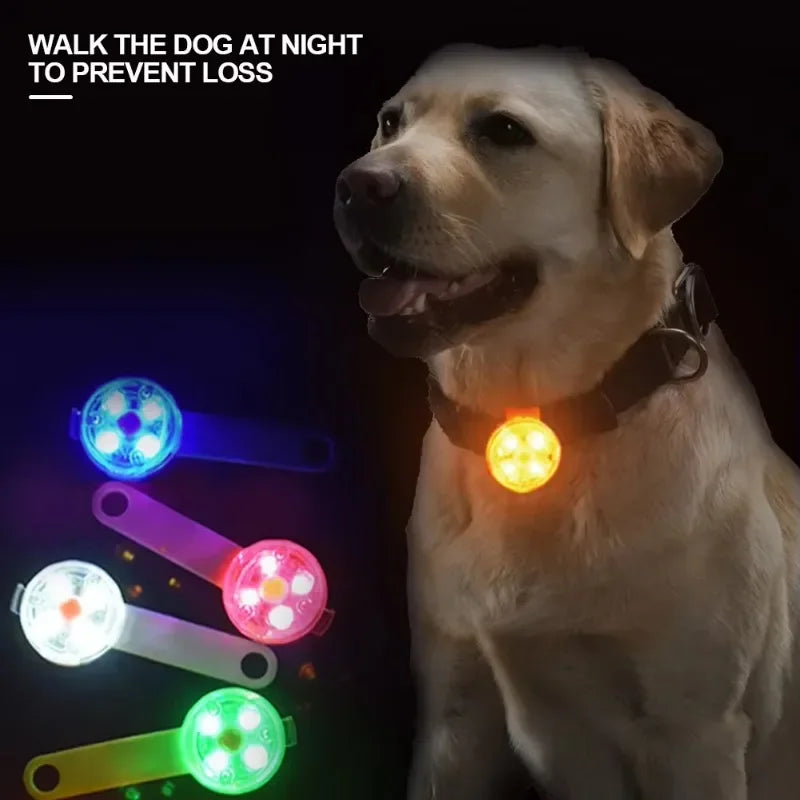 Dog collar, loss collar, weatherproof LED safety light