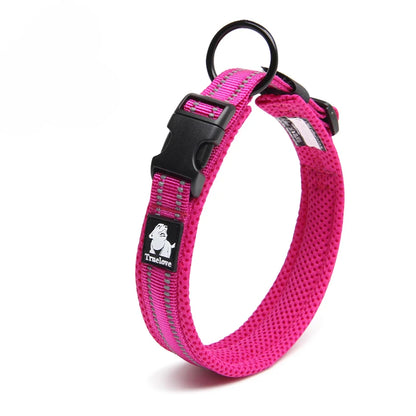 Dog Walking Collar Comfort Padded with Buckle