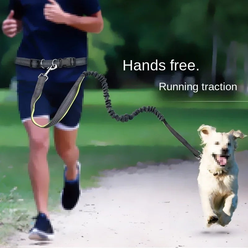 Hand Free Dog Leash for Pet Walking Running