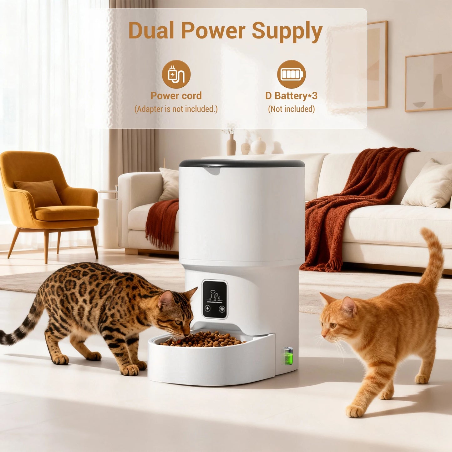 Programmable 4L Automatic Pet Feeder for Small Dogs Cats