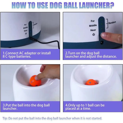 Automatic Ball Launcher for Dogs
