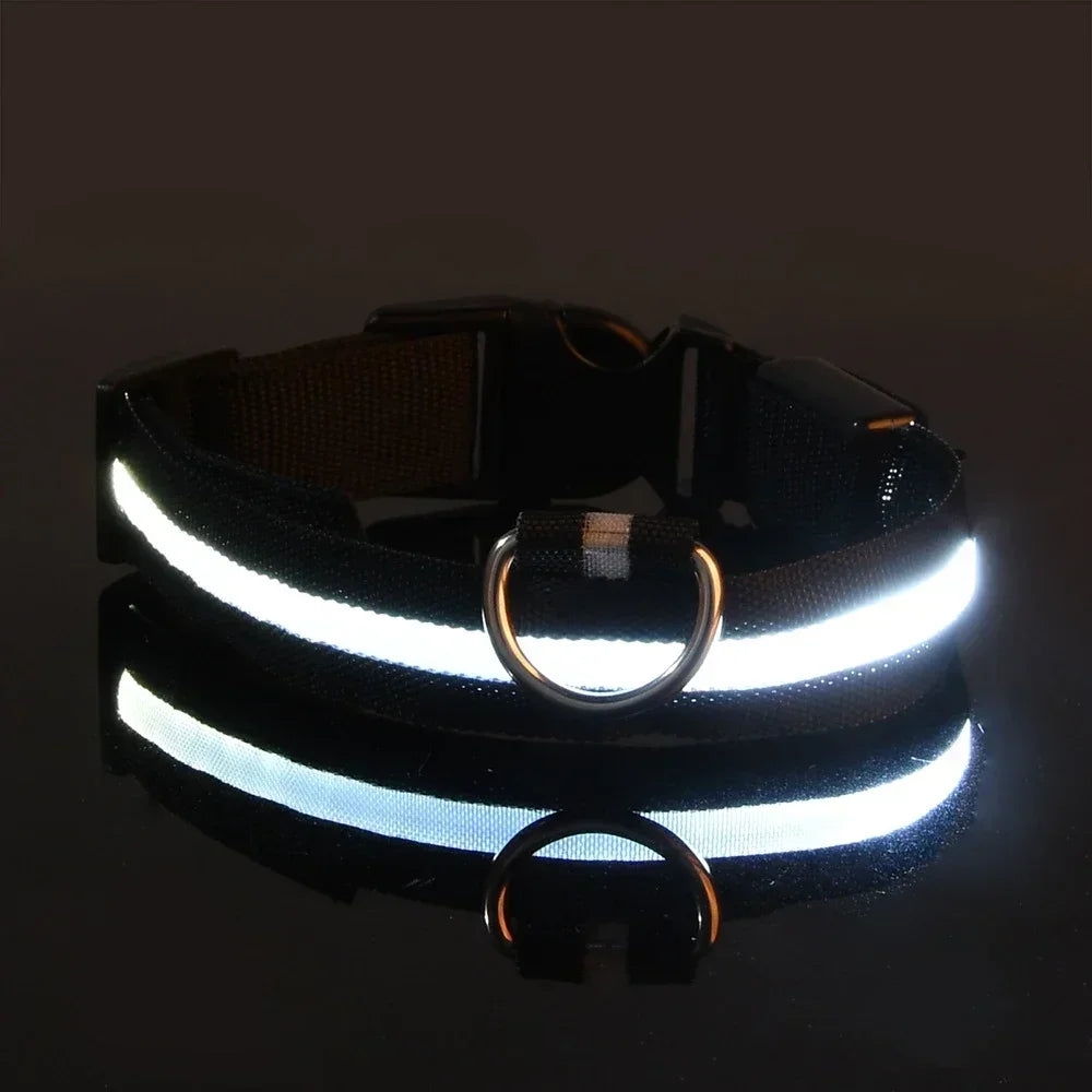 Collar Nylon LED Night Safety Flashing Glow In The Dark