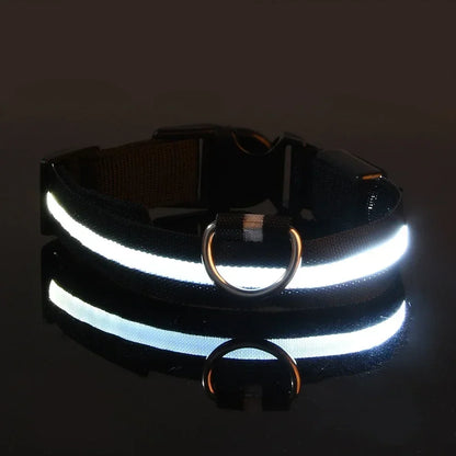 Collar Nylon LED Night Safety Flashing Glow In The Dark