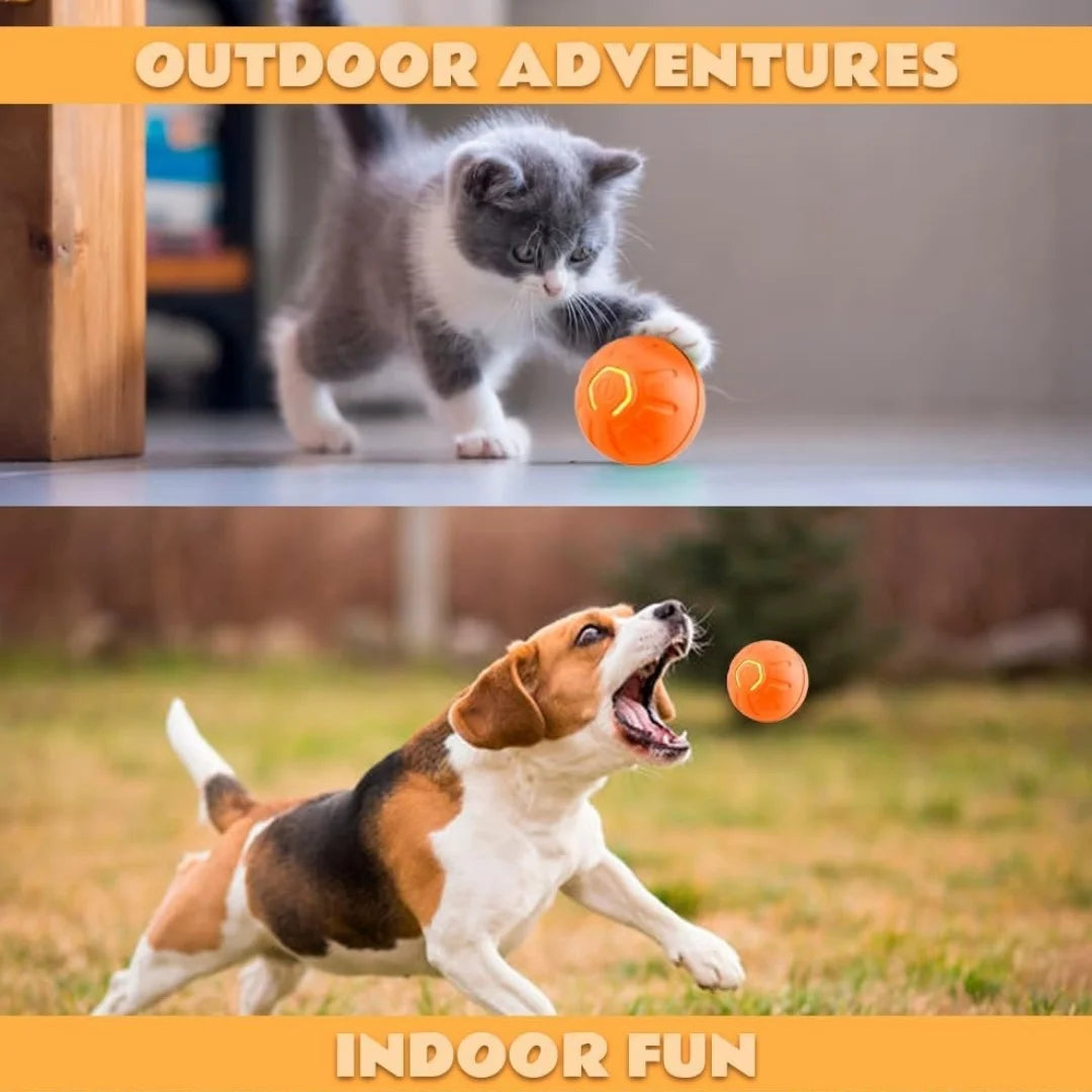 Smart Bouncing Electric Pet Ball