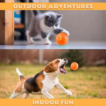 Smart Bouncing Electric Pet Ball