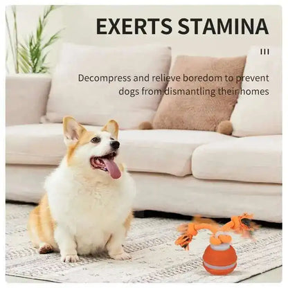 Smart Dog Toys Interactive Teasing Ball With Motion