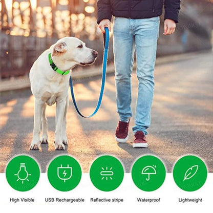 3 Modes Dog Luminous Charge Collar Led Usb