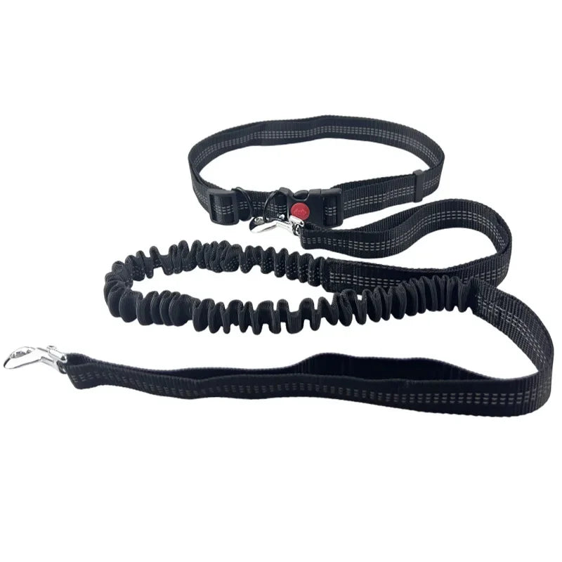 Hand Free Dog Leash for Pet Walking Running