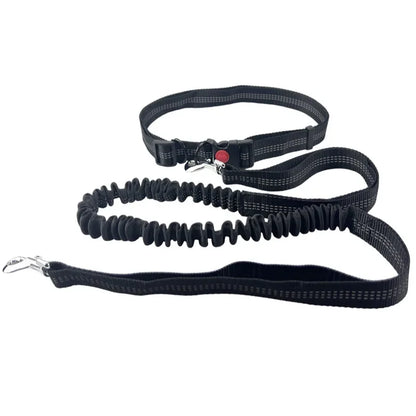 Hand Free Dog Leash for Pet Walking Running