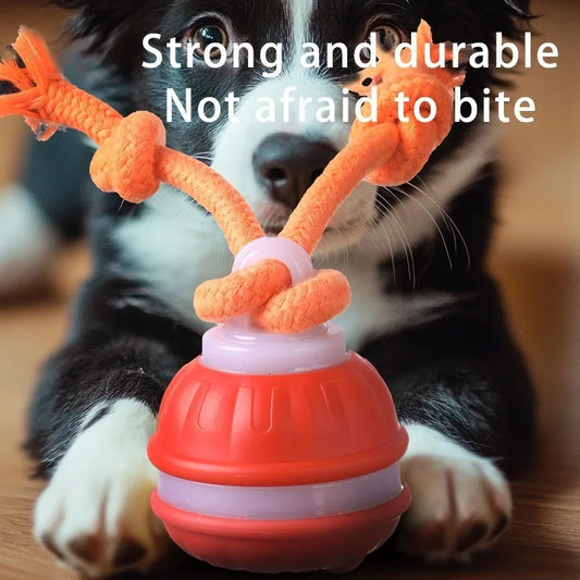 Smart Dog Toys Interactive Teasing Ball With Motion
