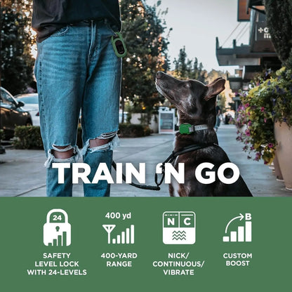 Dog Training Collar with Remote: