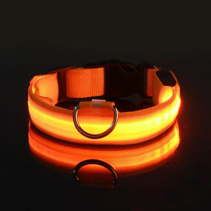 Collar Nylon LED Night Safety Flashing Glow In The Dark