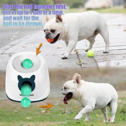 Automatic Ball Launcher for Dogs