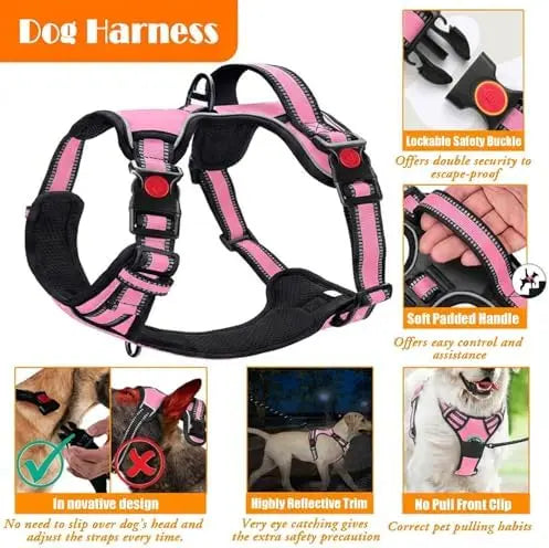 No Pull Harness with Collar & Leash Set