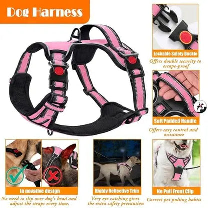 No Pull Harness with Collar & Leash Set