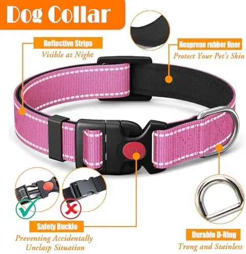 No Pull Harness with Collar & Leash Set