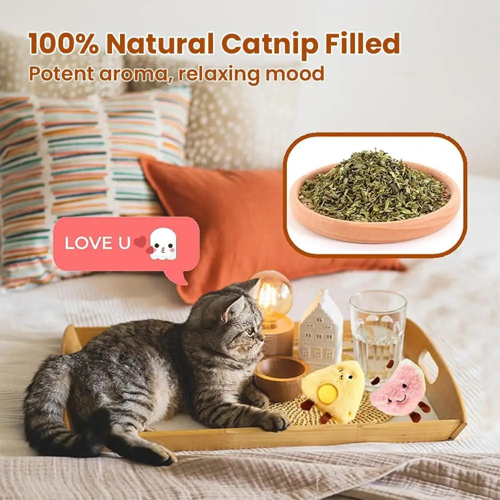 4 Pack Catnip Toys