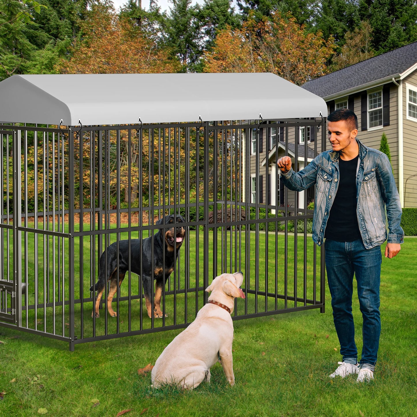 Outdoor Dog Kennel with Roof 8x4x6FT