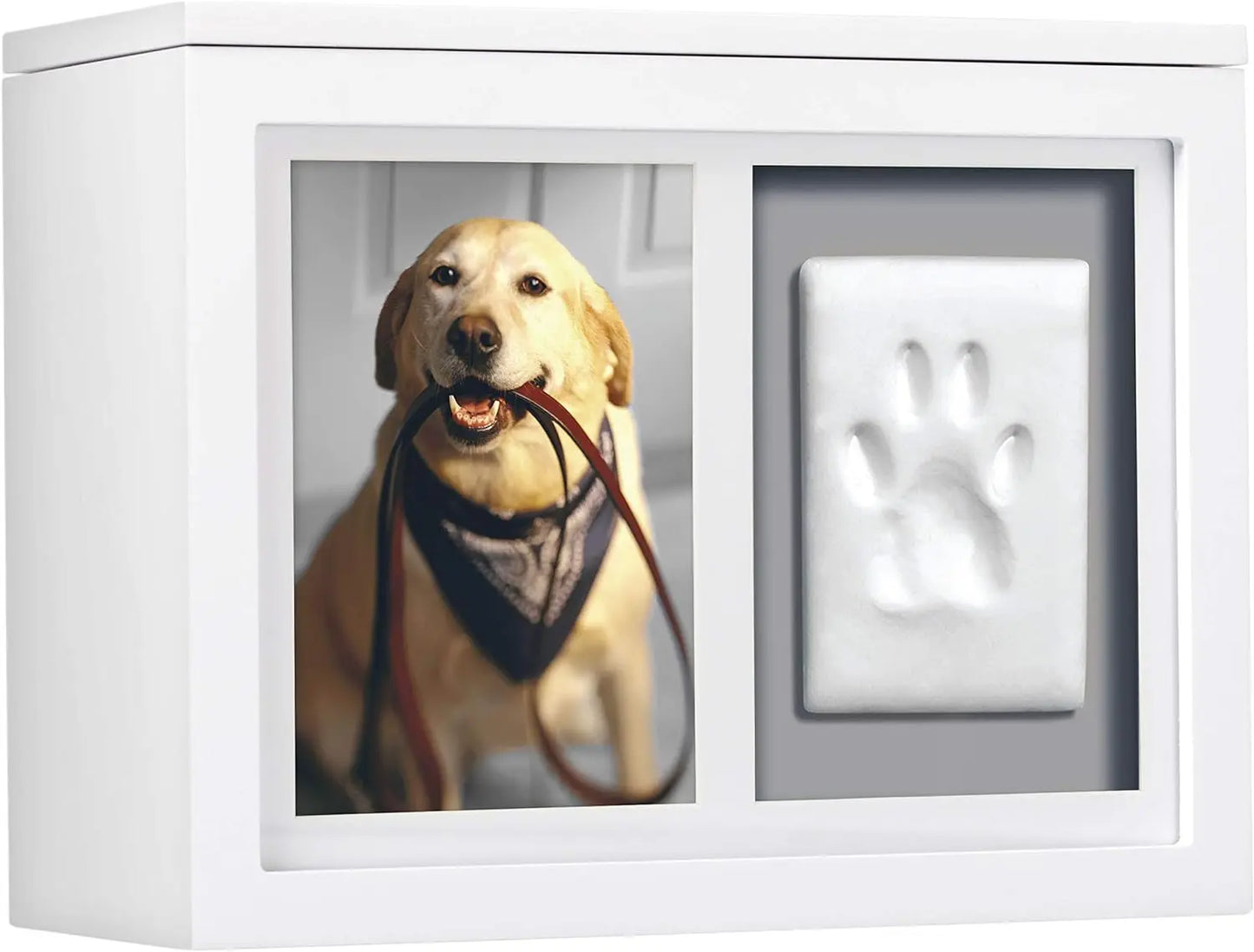Pet Memorial Box & Paw Print Kit, Keepsake Urn