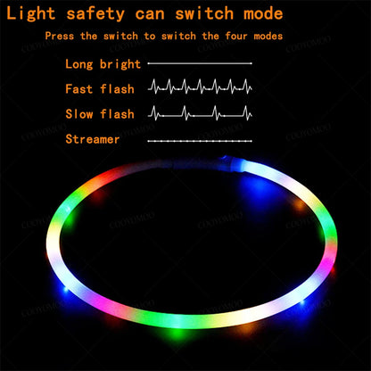 4 Modes Dog Luminou Charge Collar Led Usb