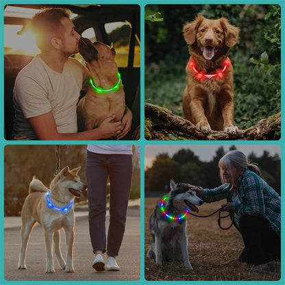 4 Modes Dog Luminou Charge Collar Led Usb