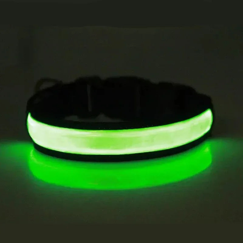 LED Glowing Dog Collar Adjustable Flashing USB Charging