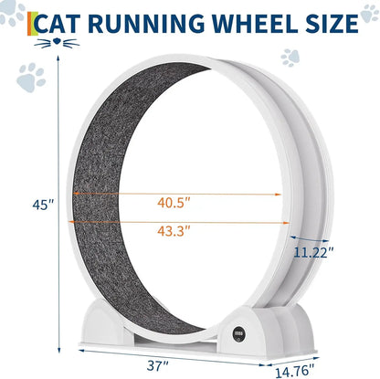 Cat Exercise Wheel, Treadmill with Pedometer