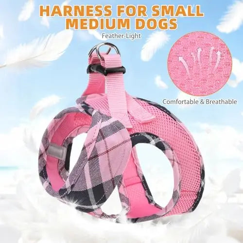 Dog Harness & Leash Set – Soft Mesh Padded Vest