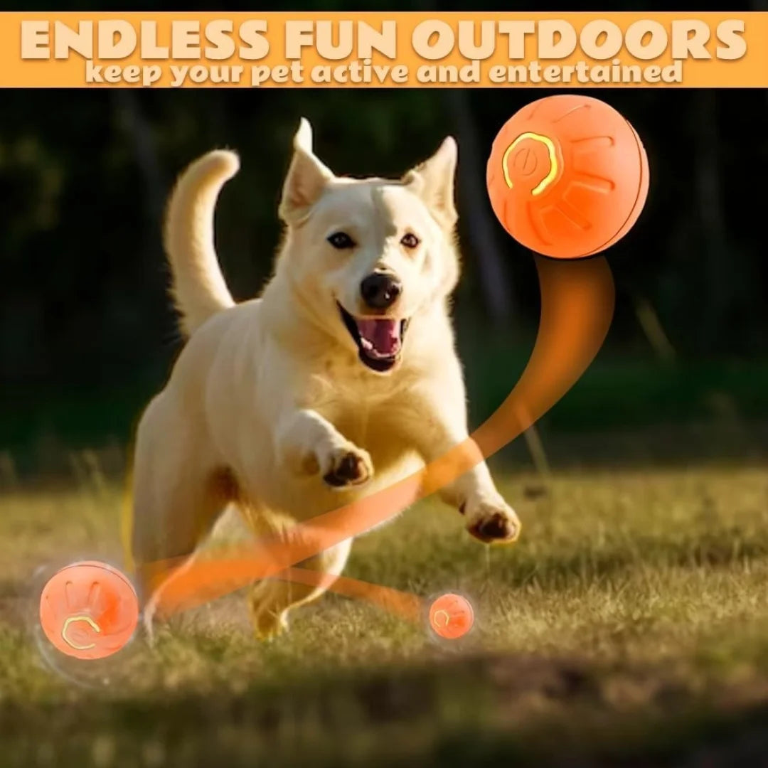 Smart Bouncing Electric Pet Ball