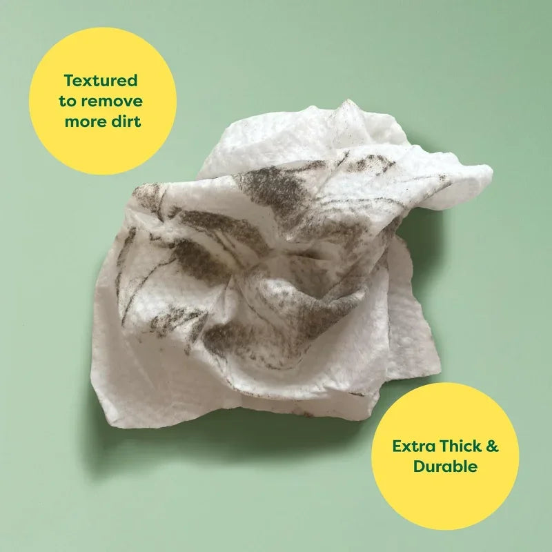 Pet Wipes, Hypoallergenic, Fragrance-free, 100 Count