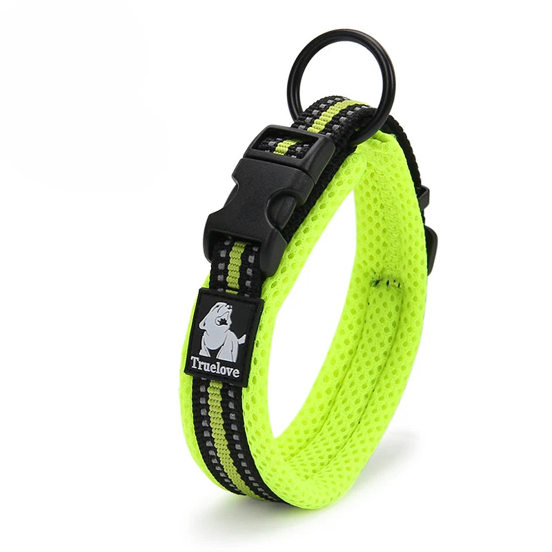 Dog Walking Collar Comfort Padded with Buckle