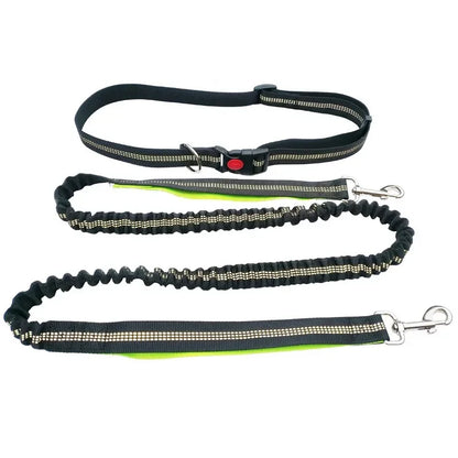 Hand Free Dog Leash for Pet Walking Running