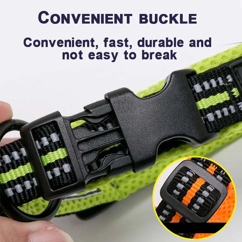 Dog Walking Collar Comfort Padded with Buckle