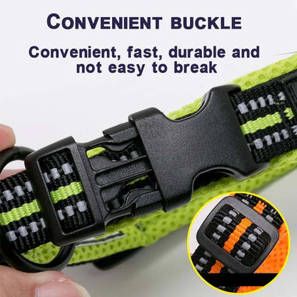 Dog Walking Collar Comfort Padded with Buckle