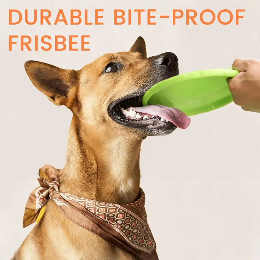 Bite Resistant Flying Disc Toys For Dog M